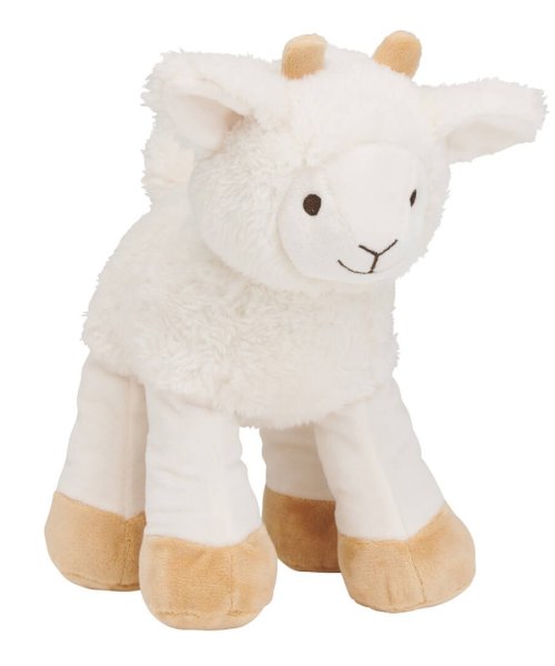 134601 Churro Sheep no.